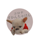 ヨーダvol5 〜宮崎弁〜（個別スタンプ：15）