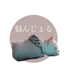 ヨーダvol5 〜宮崎弁〜（個別スタンプ：17）