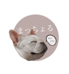 ヨーダvol5 〜宮崎弁〜（個別スタンプ：18）