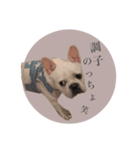 ヨーダvol5 〜宮崎弁〜（個別スタンプ：19）