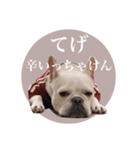 ヨーダvol5 〜宮崎弁〜（個別スタンプ：21）