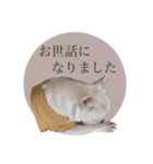 ヨーダvol5 〜宮崎弁〜（個別スタンプ：22）