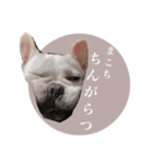 ヨーダvol5 〜宮崎弁〜（個別スタンプ：24）