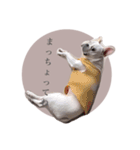 ヨーダvol5 〜宮崎弁〜（個別スタンプ：25）