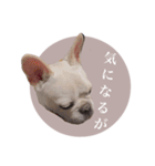 ヨーダvol5 〜宮崎弁〜（個別スタンプ：28）
