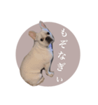 ヨーダvol5 〜宮崎弁〜（個別スタンプ：29）