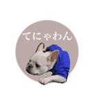 ヨーダvol5 〜宮崎弁〜（個別スタンプ：30）