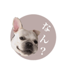 ヨーダvol5 〜宮崎弁〜（個別スタンプ：32）