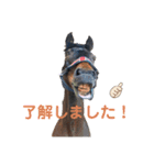 馬の名シーン（仕事用）（個別スタンプ：1）