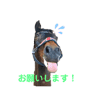 馬の名シーン（仕事用）（個別スタンプ：2）