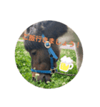 馬の名シーン（仕事用）（個別スタンプ：3）
