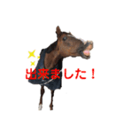 馬の名シーン（仕事用）（個別スタンプ：5）