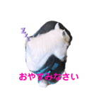 馬の名シーン（仕事用）（個別スタンプ：10）