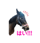 馬の名シーン（仕事用）（個別スタンプ：11）