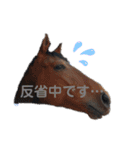 馬の名シーン（仕事用）（個別スタンプ：12）