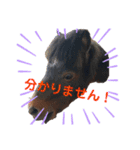 馬の名シーン（仕事用）（個別スタンプ：15）
