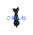リーチのスタンプ（個別スタンプ：5）