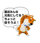 柴犬タイソウ（個別スタンプ：1）