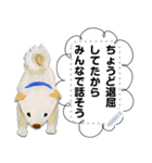 柴犬タイソウ（個別スタンプ：2）