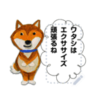 柴犬タイソウ（個別スタンプ：14）