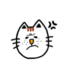 ほんわかニャンコちゃん♪3（個別スタンプ：5）