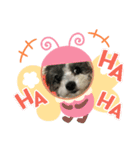 マルプーのあずき（個別スタンプ：1）