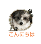 マルプーのあずき（個別スタンプ：2）