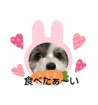 マルプーのあずき（個別スタンプ：5）
