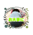 よっくんオンリー（個別スタンプ：15）