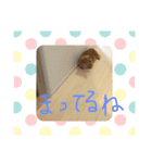 まる＆ララ（個別スタンプ：7）