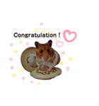 ハムちゃんずの日常すたんぷ❤️（個別スタンプ：5）
