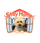つぶたんスタンプ（個別スタンプ：1）