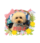 つぶたんスタンプ（個別スタンプ：8）