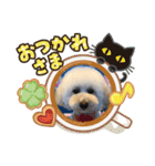 つぶたんスタンプ（個別スタンプ：12）