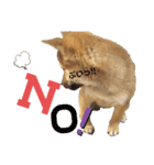 柴犬さく④（個別スタンプ：26）