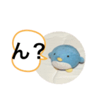 かわぺ（個別スタンプ：4）