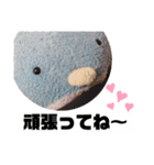 かわぺ（個別スタンプ：8）