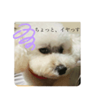 はなこの訴え（個別スタンプ：2）
