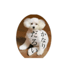 はなこの訴え（個別スタンプ：6）