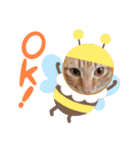 うちの猫メルマロキキ（個別スタンプ：3）