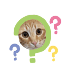 うちの猫メルマロキキ（個別スタンプ：7）