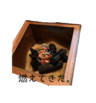 そうだ。お茶しよう。（個別スタンプ：5）