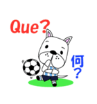 アルゼンチンのサッカー犬（個別スタンプ：29）