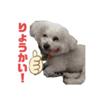 菊池家モモちゃん（個別スタンプ：4）