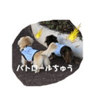 ダックスと暮らす毎日②（個別スタンプ：4）
