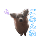 しゅう君と仲間たち ¨̮☼（個別スタンプ：23）