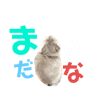 ネッネの日常❷（個別スタンプ：4）
