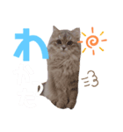 ネッネの日常❷（個別スタンプ：6）