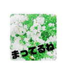 らぶらぶ日常スタンプ（個別スタンプ：5）