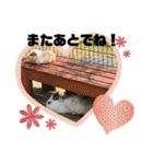 らぶらぶ日常スタンプ（個別スタンプ：9）